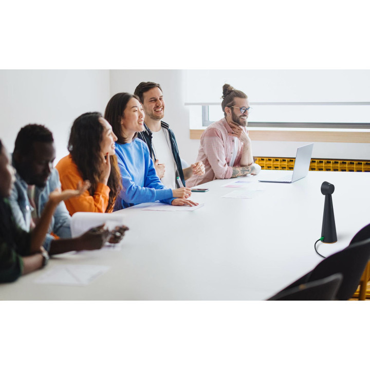 IPEVO TOTEM 180 4K Panoramic Video Conference camera